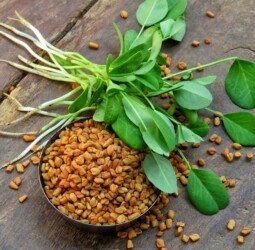 Exploring the Health Benefits of Fenugreek Seeds