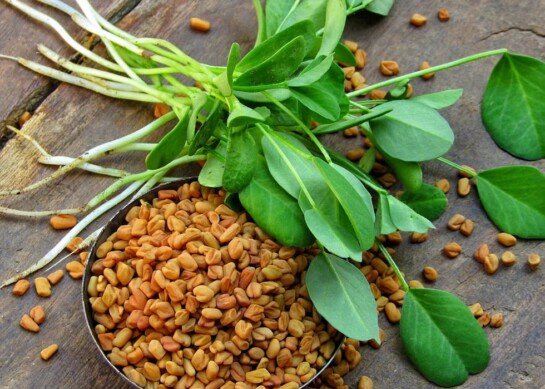 Exploring the Health Benefits of Fenugreek Seeds