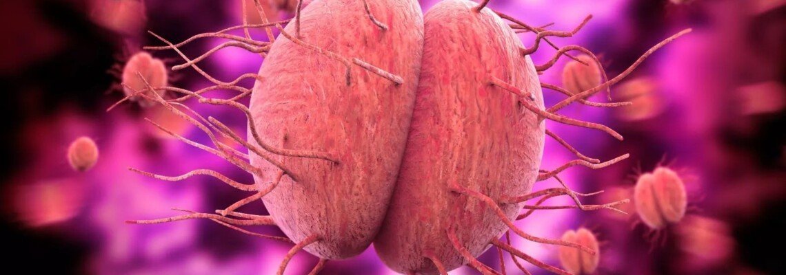 Understanding Gonorrhea: Causes, Symptoms, and Treatment