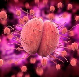 Understanding Gonorrhea: Causes, Symptoms, and Treatment