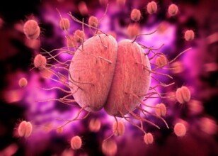 Understanding Gonorrhea: Causes, Symptoms, and Treatment